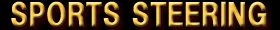 SPORTS STER