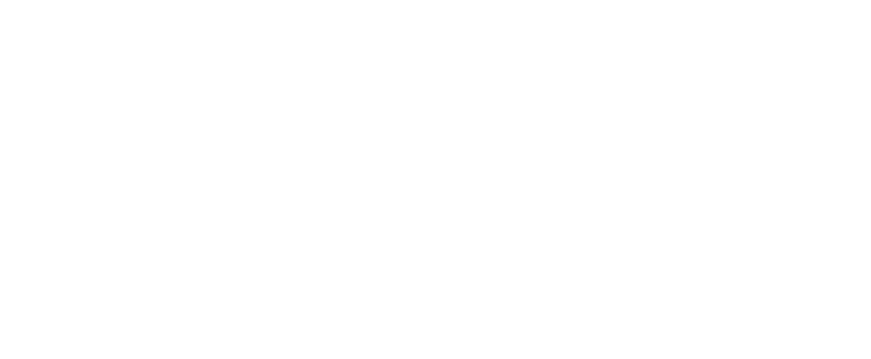 DIGICAM アルミレーシングナット