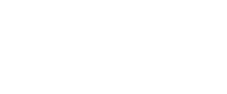 DIGICAM クロモリレーシングナット オーロラ