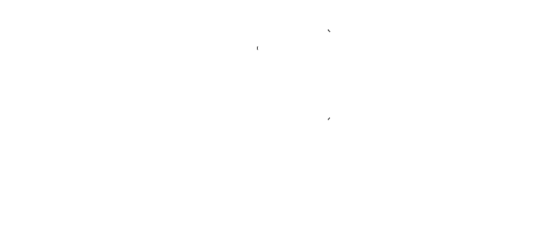 DIGICAM クロモリレーシングナット オーロラ