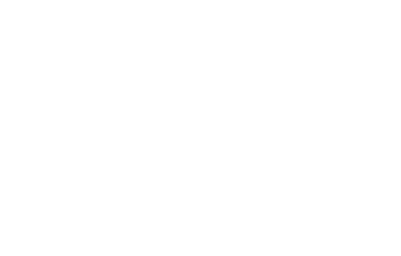 DIGICAM チタンレーシングナット