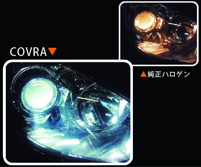 halogen covra