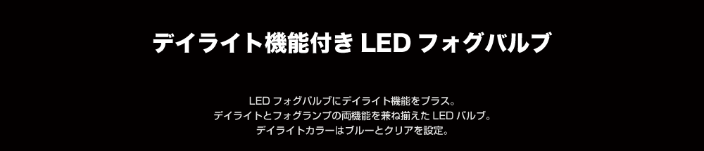 ǥ饤LEDեХ